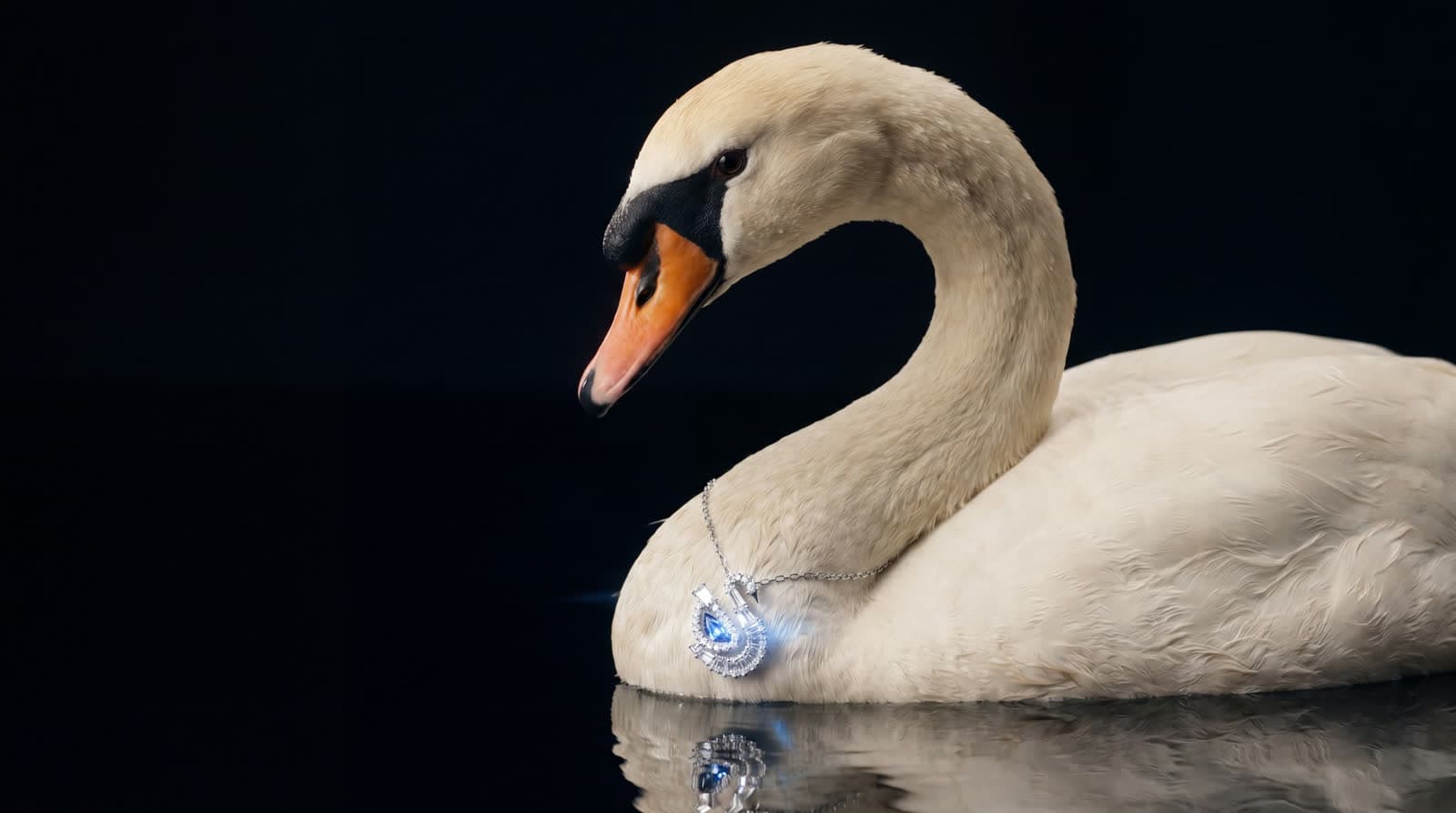 Swarovski · joaillerie cinéma